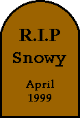 Rest in Peace, Snowy